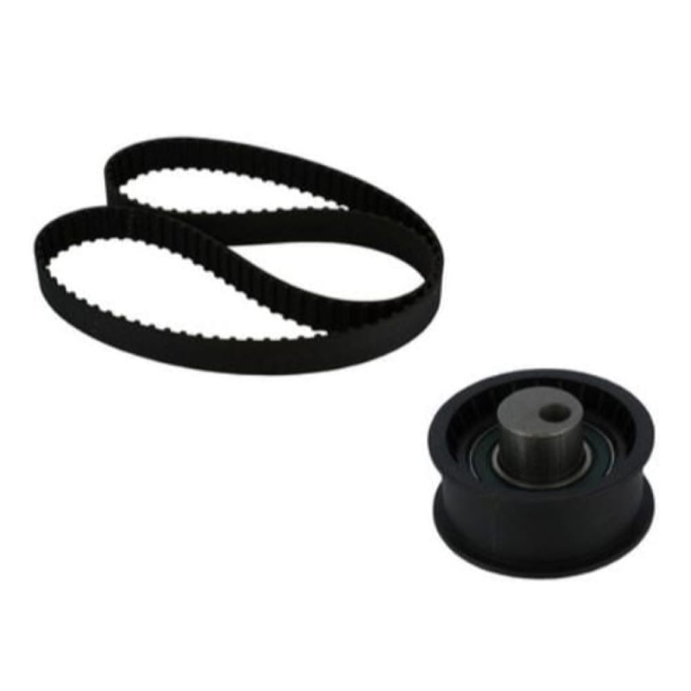 KIT POLEA TENSORA Y BANDA