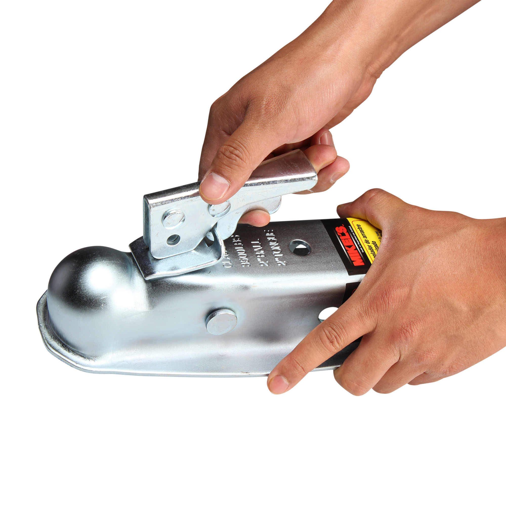 Miniatura