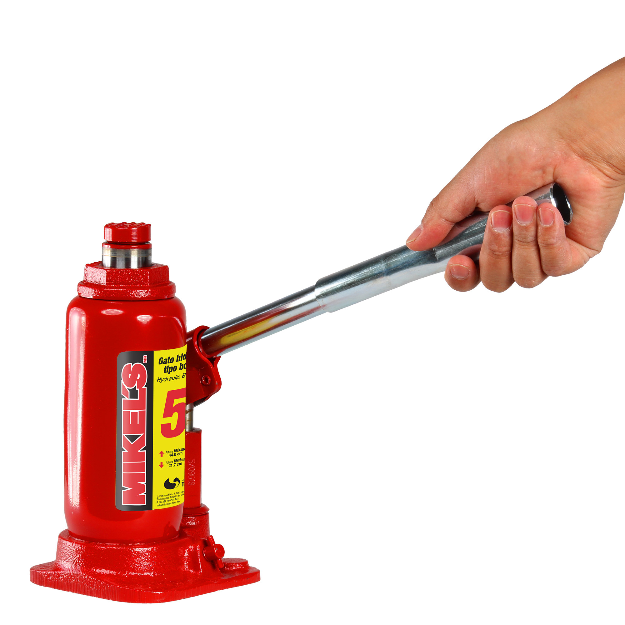 Miniatura