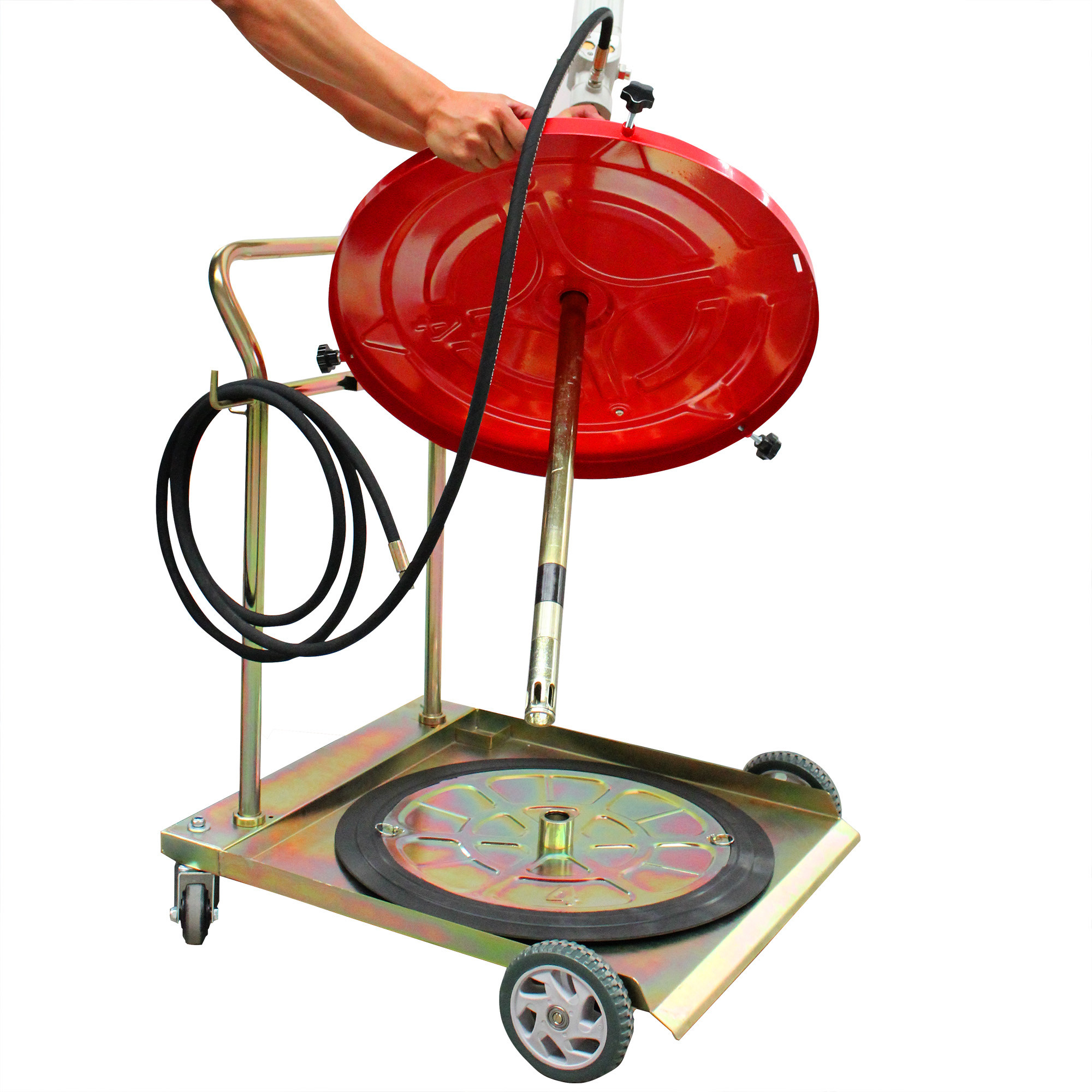 Miniatura