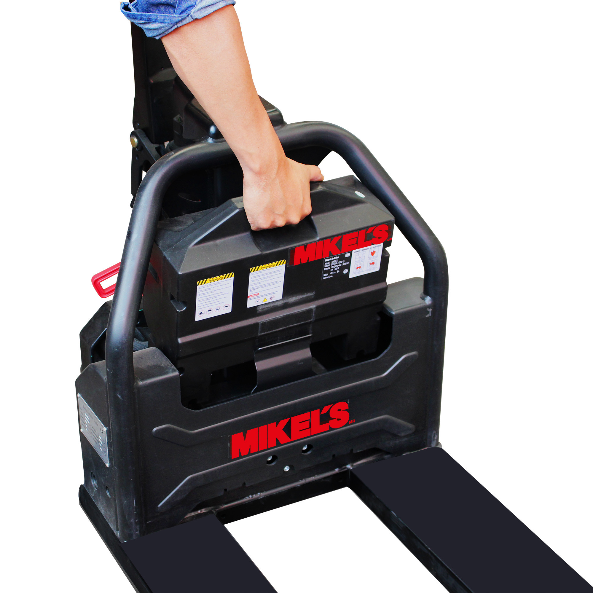 Miniatura