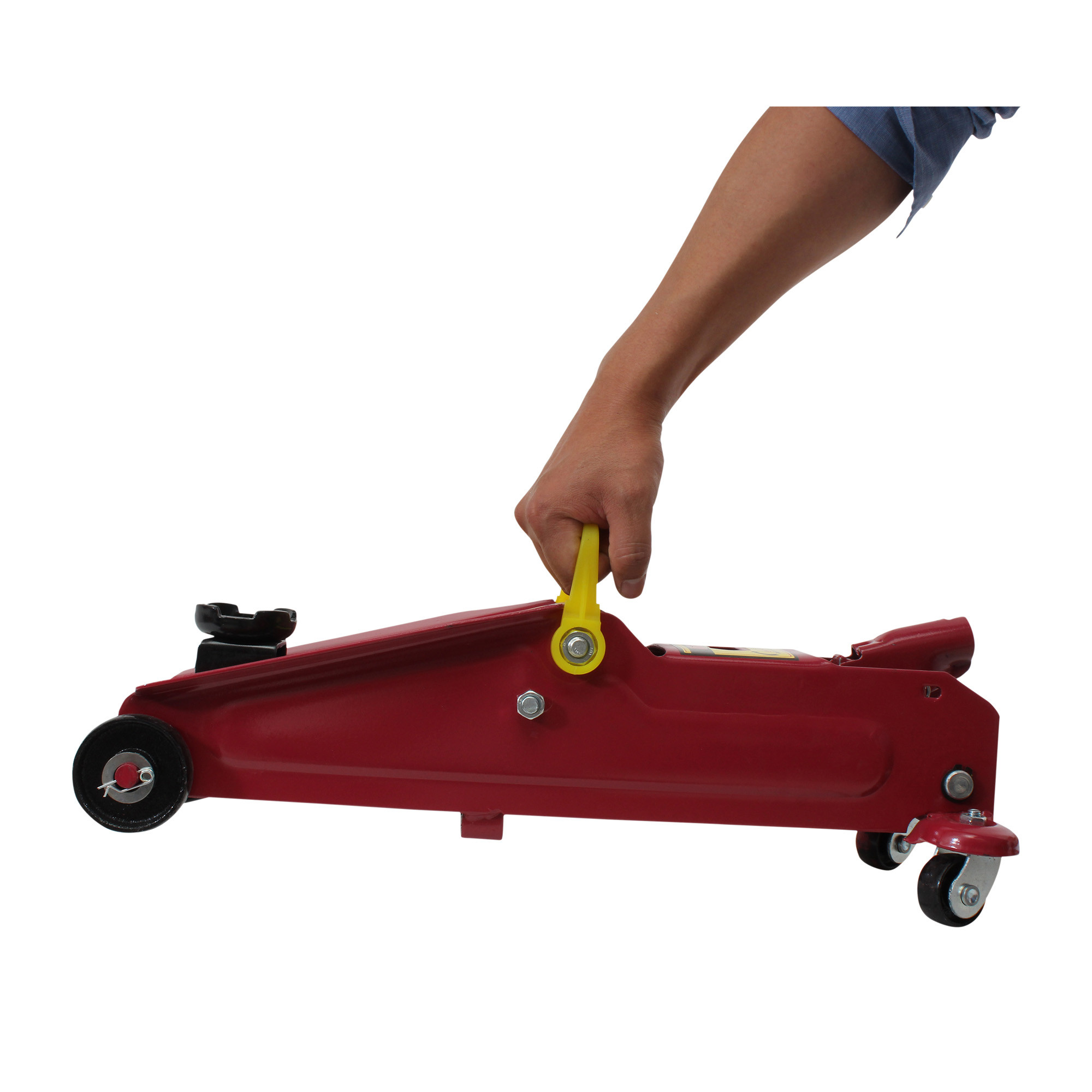 Miniatura